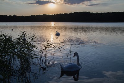 Betreute Seniorenreise Mecklenburgische Seenplatte