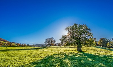 Überraschungsreise Lavendel